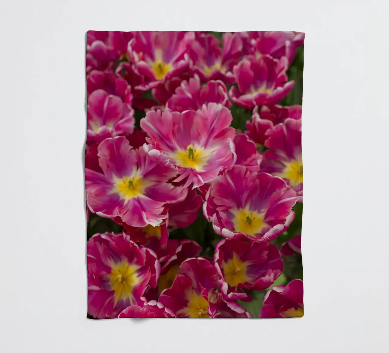 Floral Elegance: Lush Pink Tulips in Full Glory fleece blanket by Curious Collections by Marielle Leenders