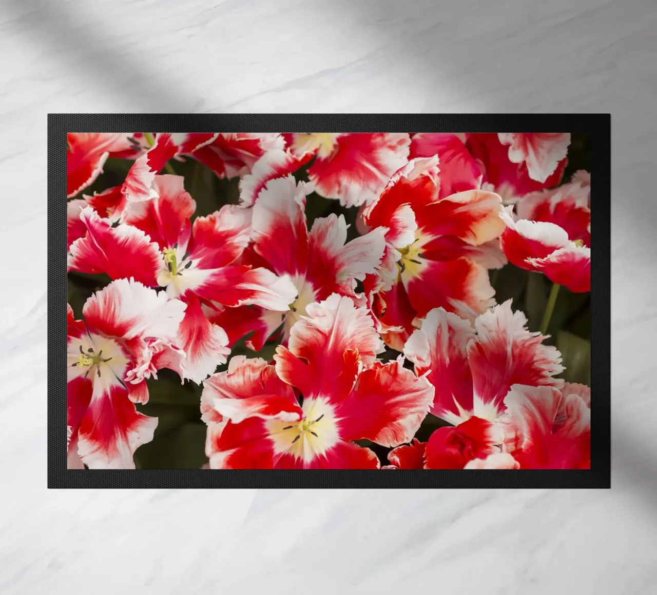 Eleganza audace: Tulipani rossi/bianchi zerbino da Curious Collections by Marielle Leenders