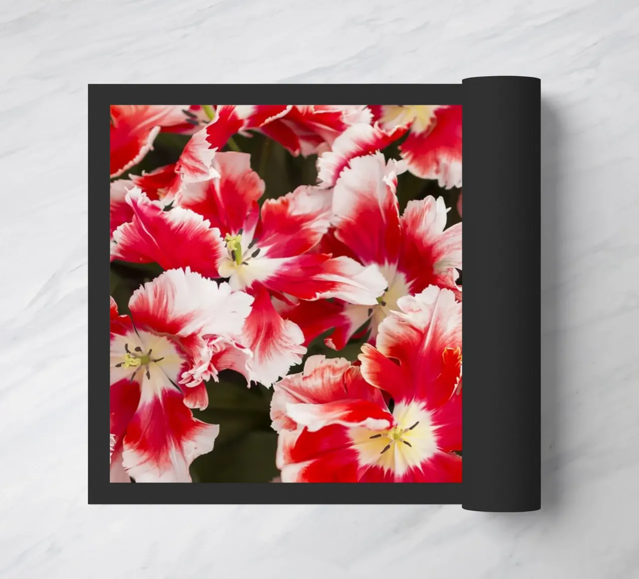 Eleganza audace: Tulipani rossi/bianchi zerbino da Curious Collections by Marielle Leenders