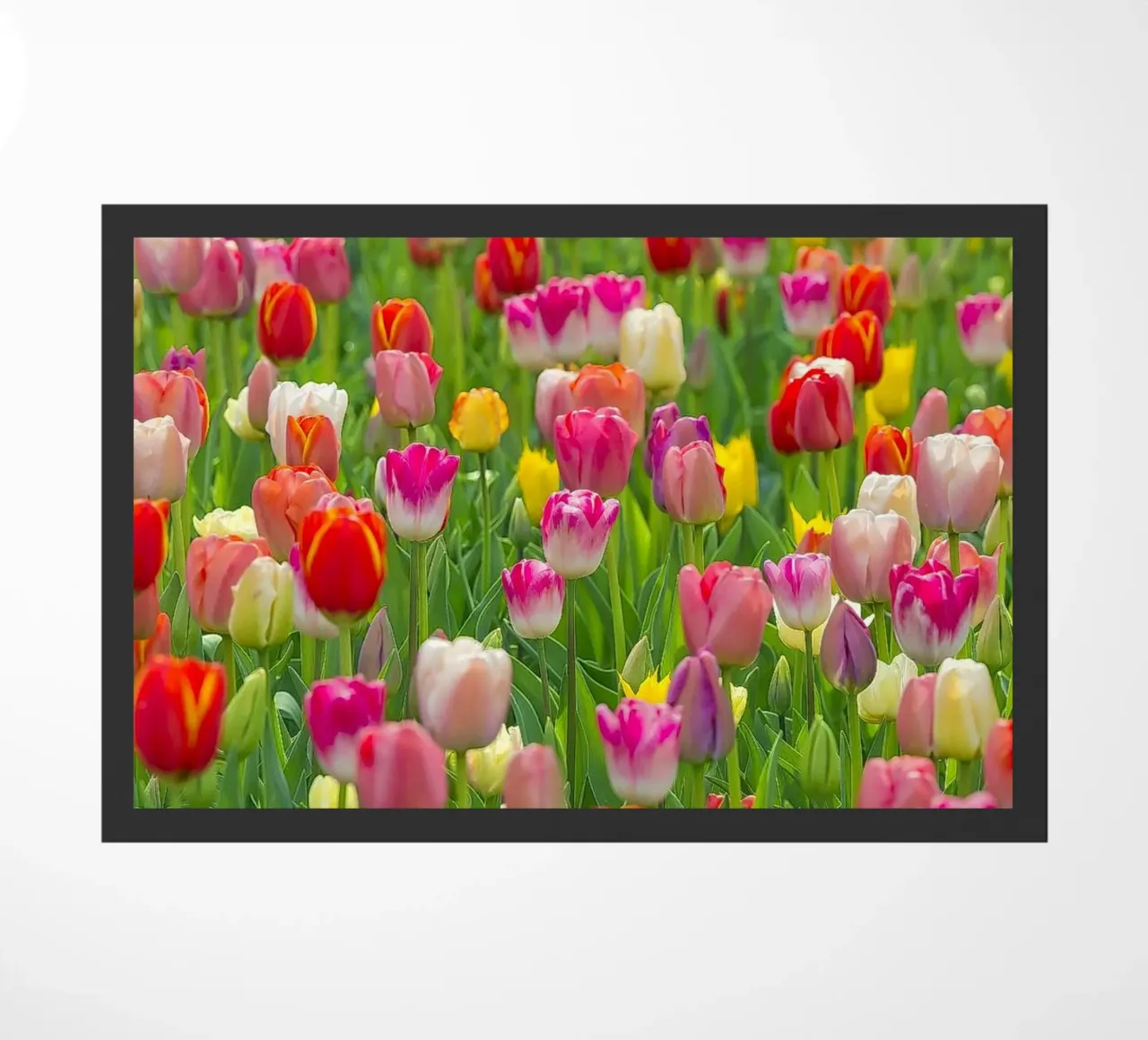 A Symphony of Color: Mixed Tulips in Bloom doormat by Curious Collections by Marielle Leenders