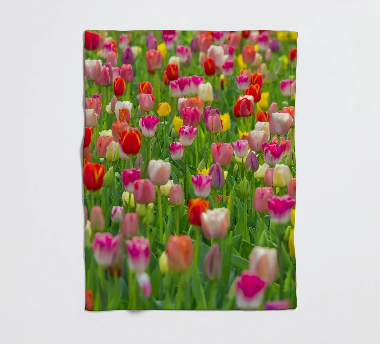 A Symphony of Color: Mixed Tulips in Bloom fleece blanket by Curious Collections by Marielle Leenders