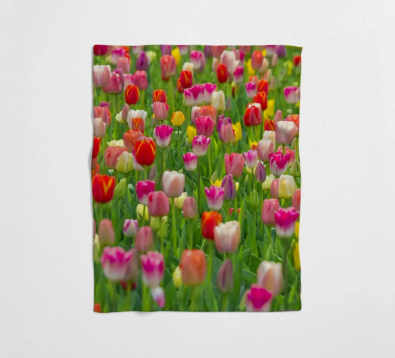 A Symphony of Color: Mixed Tulips in Bloom fleece blanket by Curious Collections by Marielle Leenders