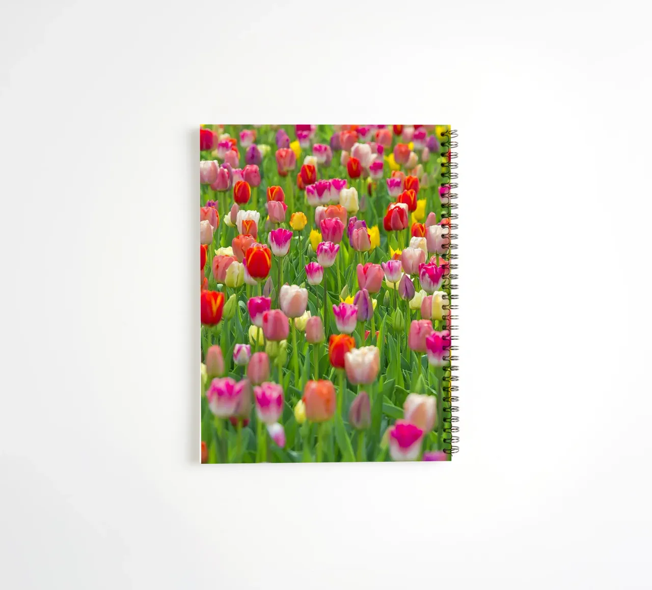 A Symphony of Color: Mixed Tulips in Bloom spiral notebook by Curious Collections by Marielle Leenders