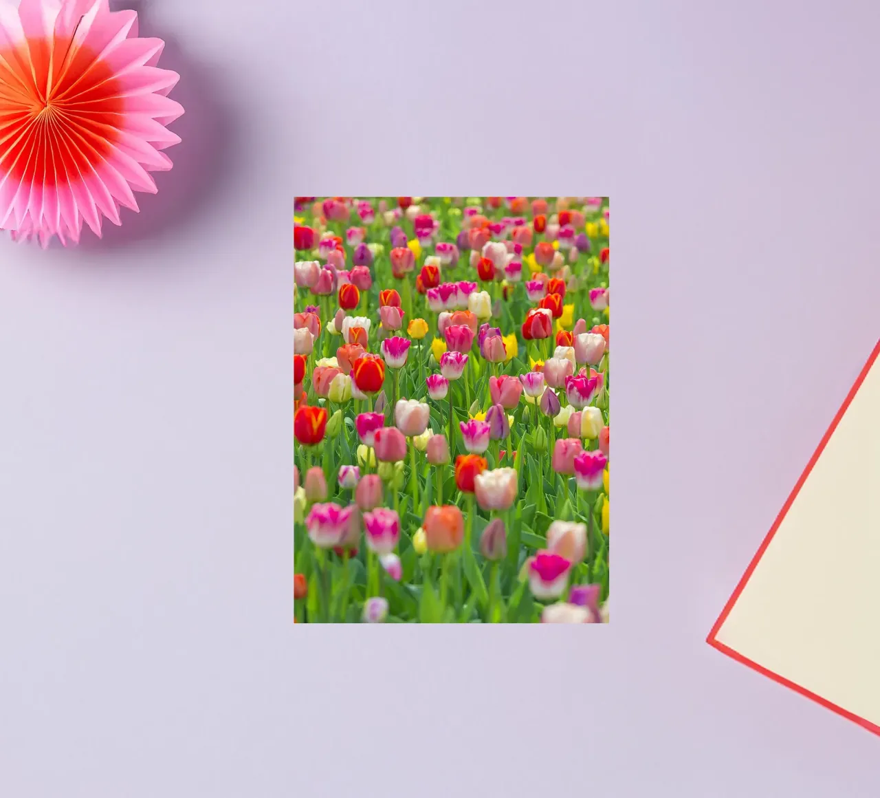 A Symphony of Color: Mixed Tulips in Bloom sticker by Curious Collections by Marielle Leenders