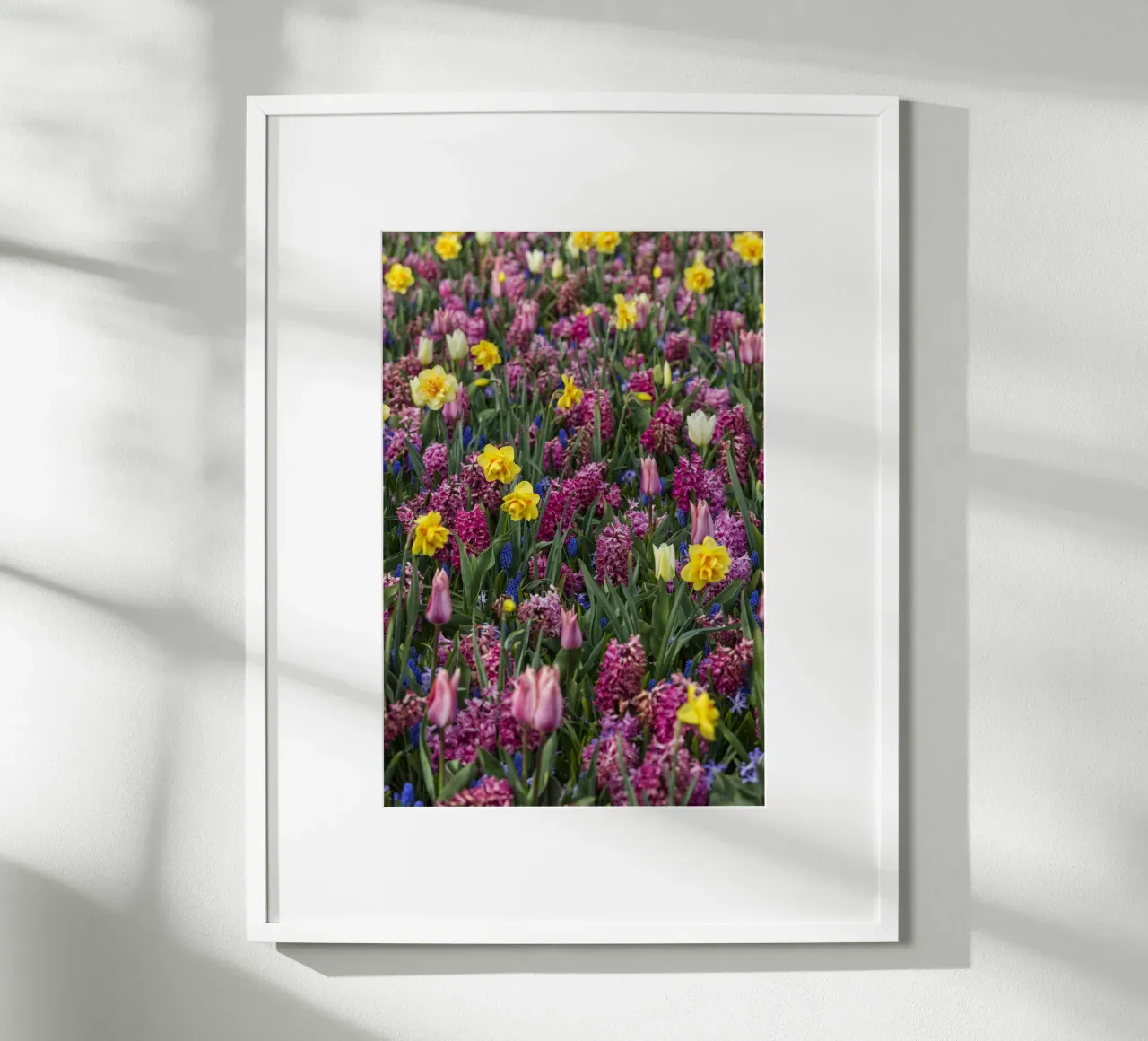 A Symphony of Spring: Purple Tulips, Hyacinths, and Daffodil hahnemühle by Curious Collections by Marielle Leenders