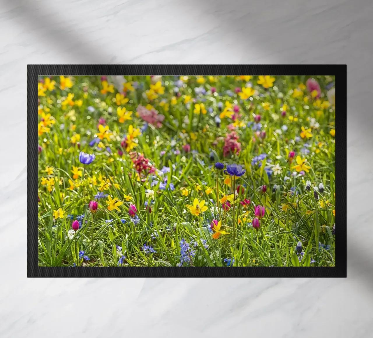 A Symphony of Color: Field of Mixed Flowers zerbino da Curious Collections by Marielle Leenders