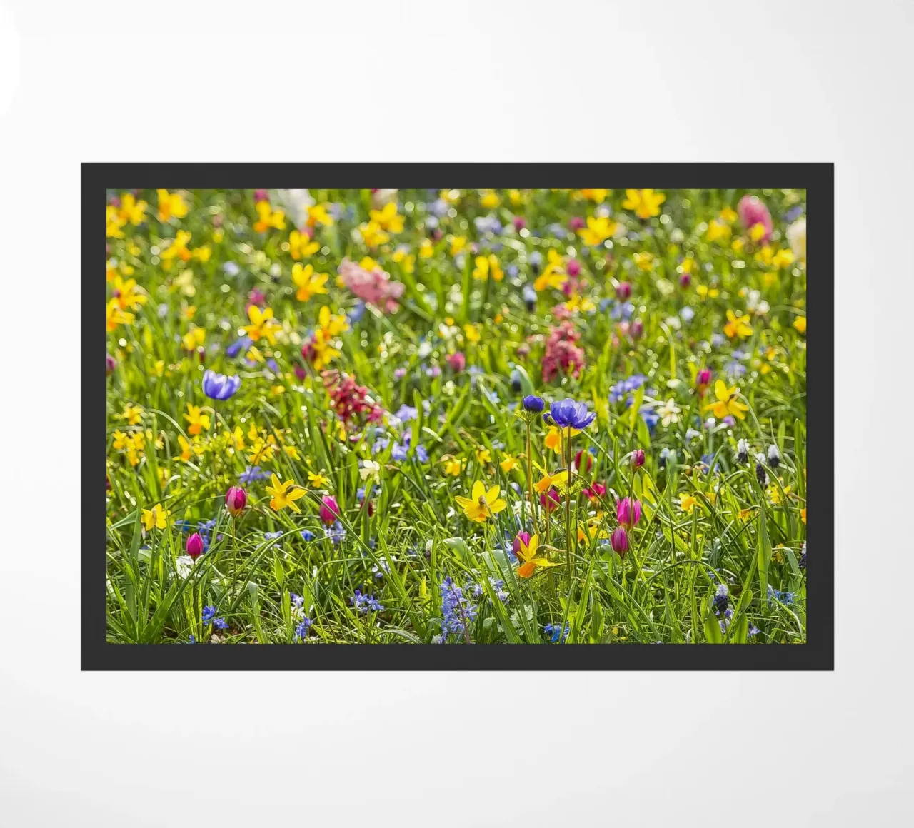 A Symphony of Color: Field of Mixed Flowers zerbino da Curious Collections by Marielle Leenders