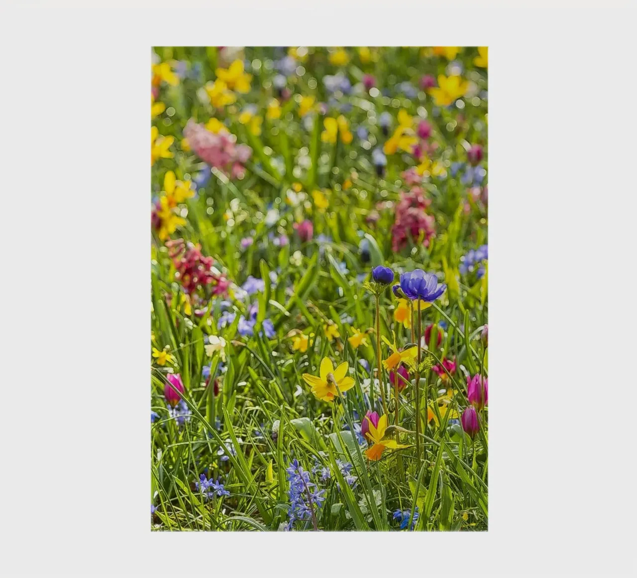 A Symphony of Color: Field of Mixed Flowers notebook by Curious Collections by Marielle Leenders