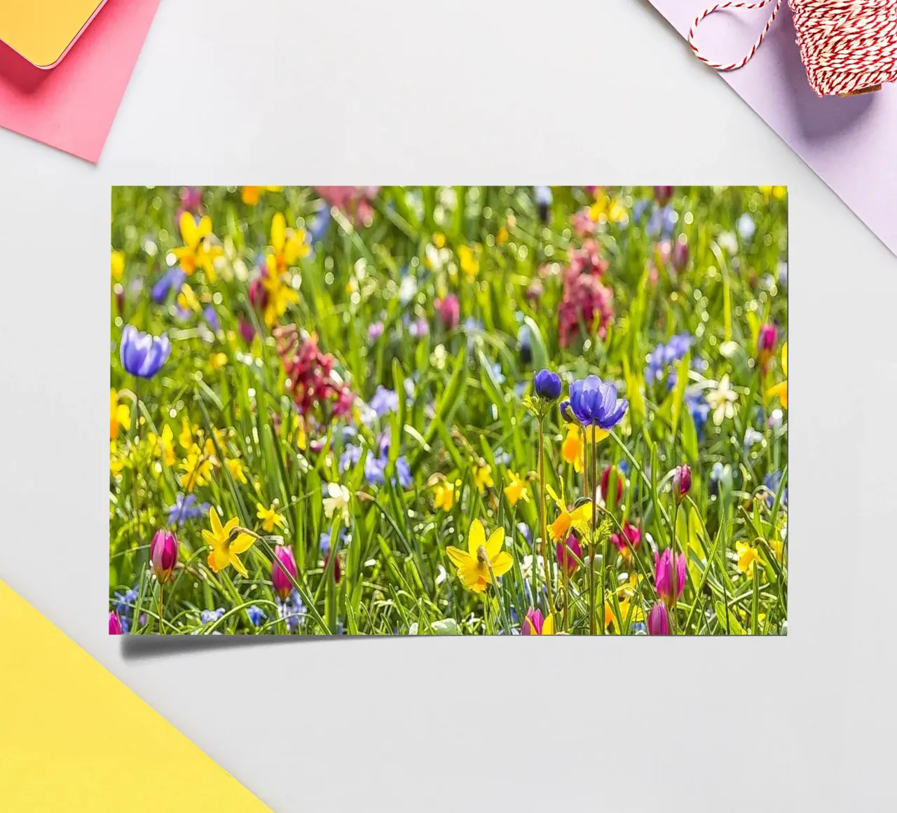 A Symphony of Color: Field of Mixed Flowers sticker sheet by Curious Collections by Marielle Leenders