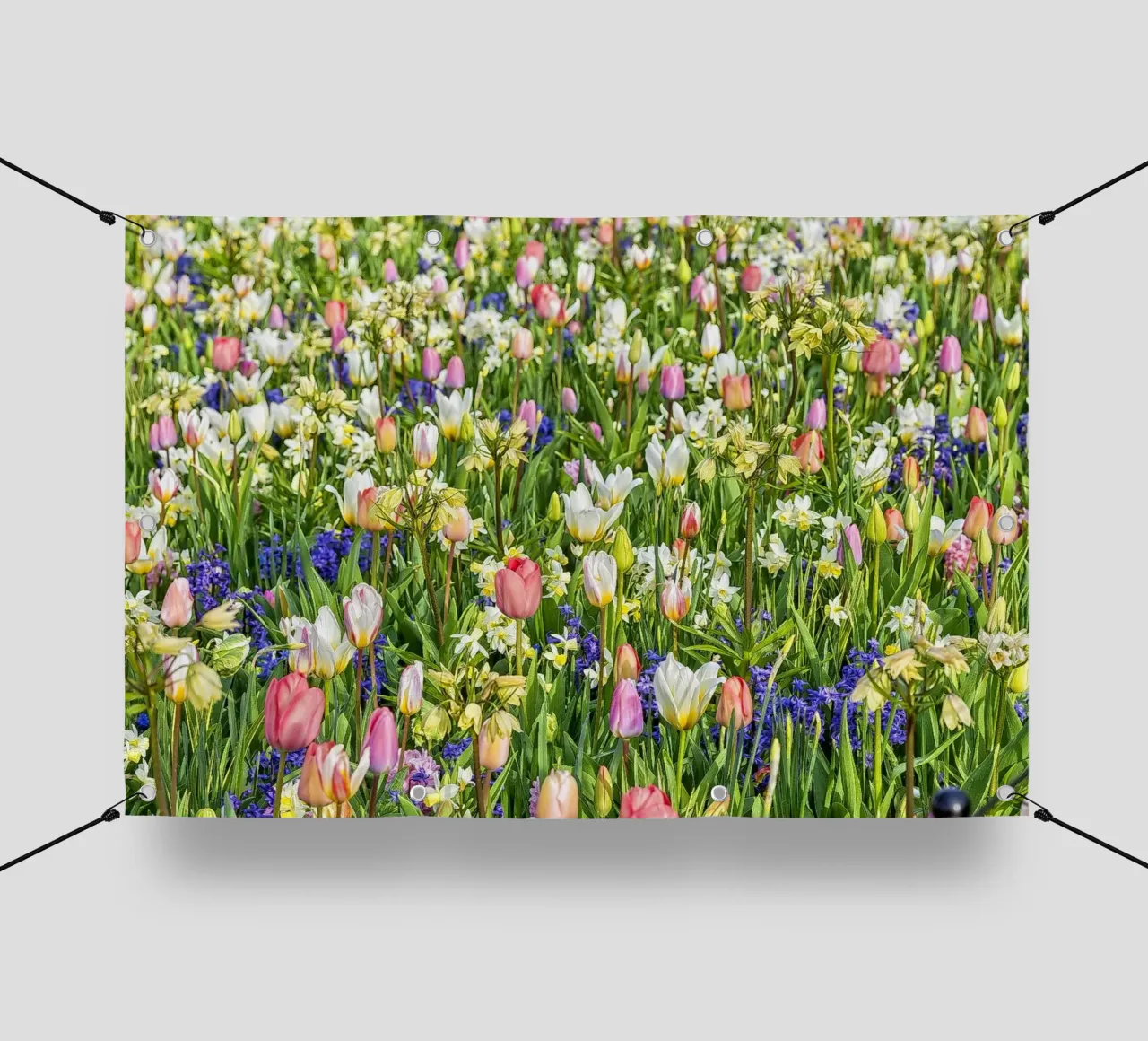 A Springtime Dream: Mixed Flower Field with Tulips and Hyaci telo in pvc da Curious Collections by Marielle Leenders