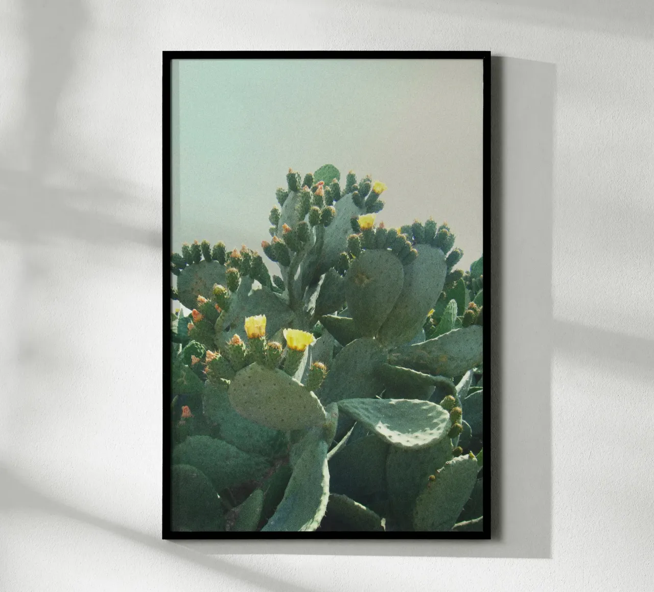 Cactus con fiori davanti a un cielo azzurro, fotografia analogica poster con telaio in plastica da Lisa Jureczko Arts Illustration
