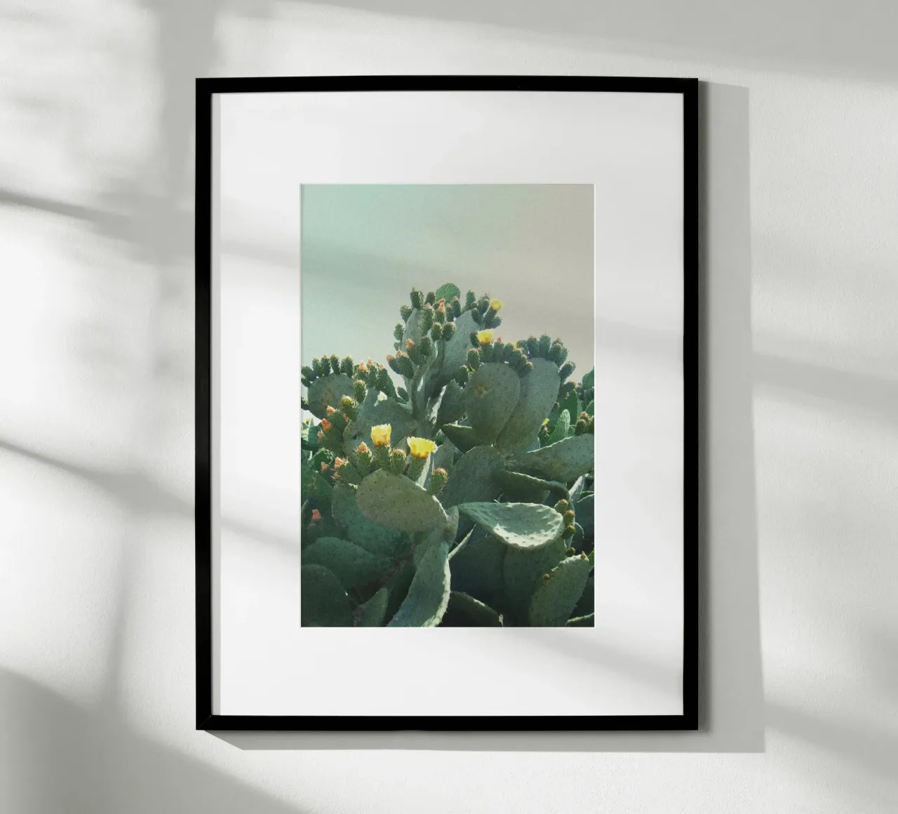 Cactus con fiori davanti a un cielo azzurro, fotografia analogica poster con telaio in plastica da Lisa Jureczko Arts Illustration