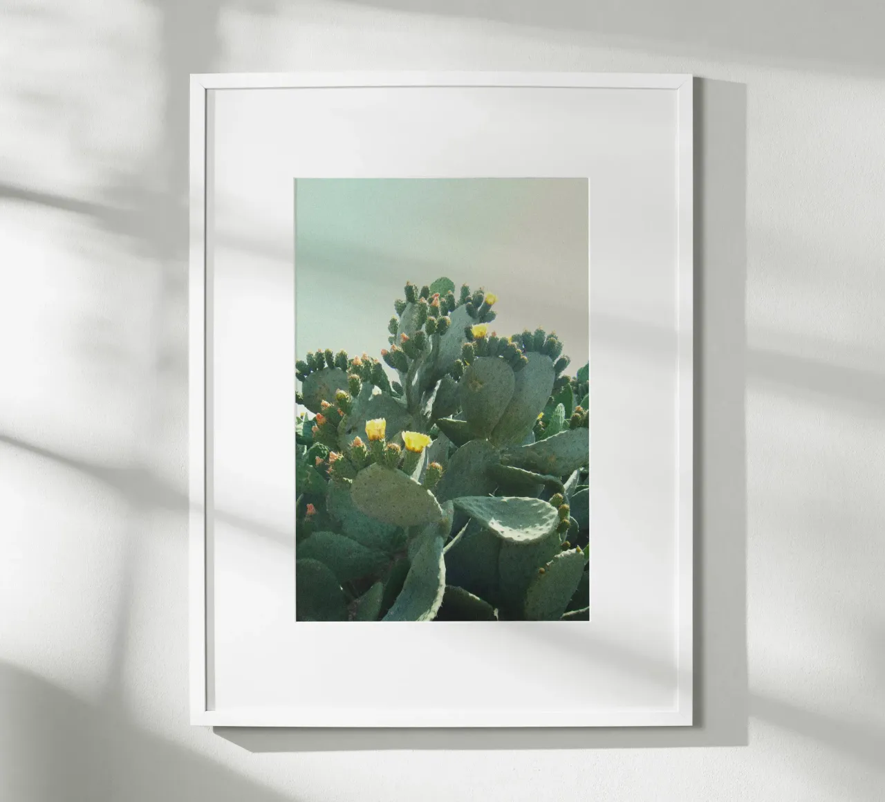 Cactus con fiori davanti a un cielo azzurro, fotografia analogica poster con telaio in plastica da Lisa Jureczko Arts Illustration