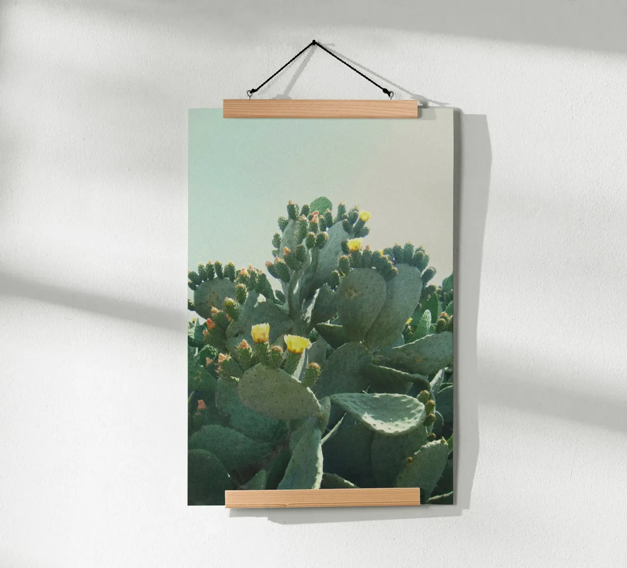Cactus con fiori davanti a un cielo azzurro, fotografia analogica poster con telaio in plastica da Lisa Jureczko Arts Illustration