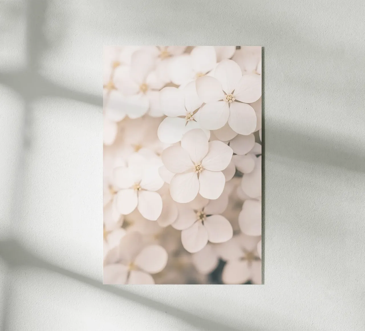 Florale Boho Harmonie plexiglass da Carinaprint