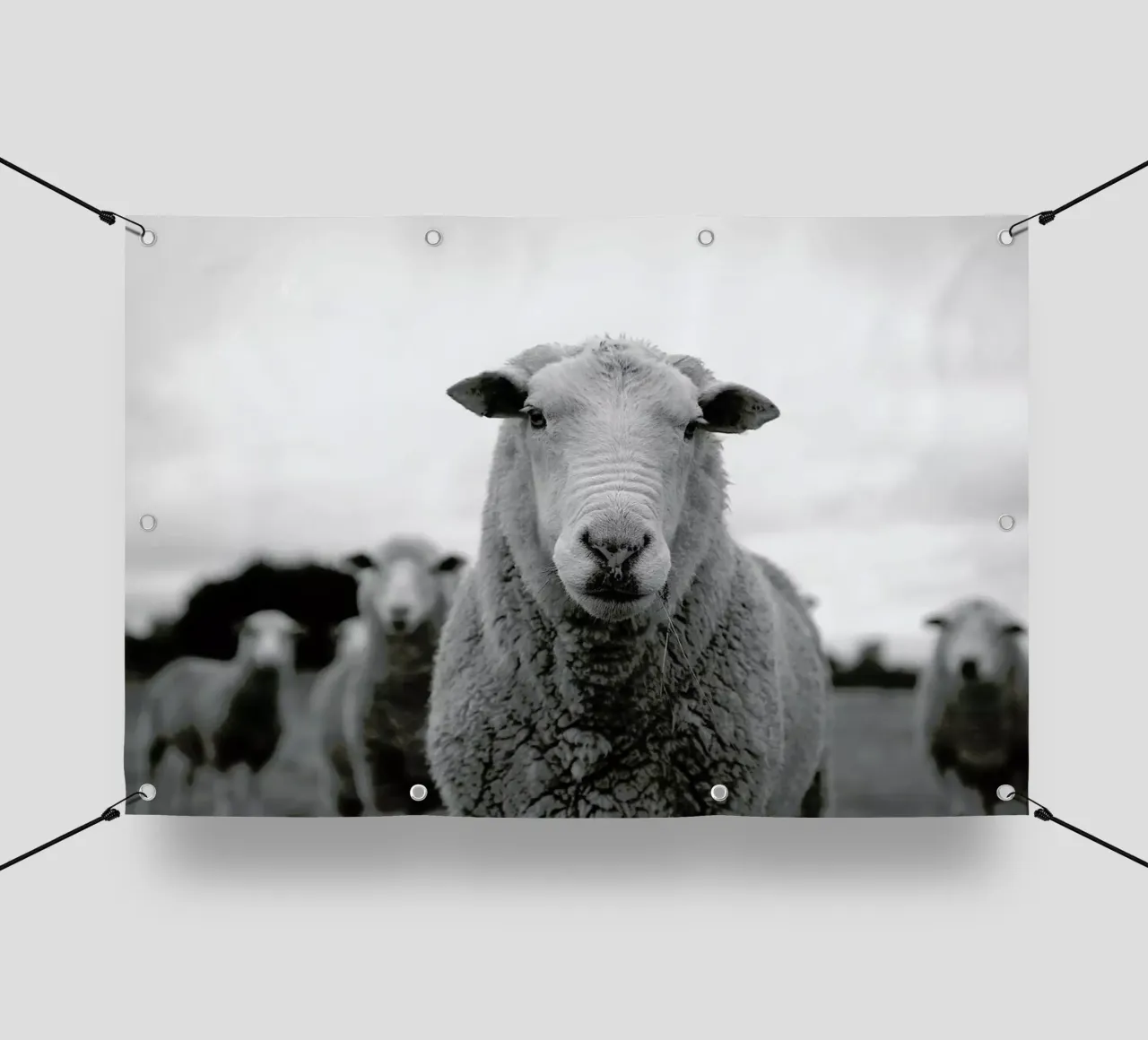 The Sheep telo in pvc da Studio One