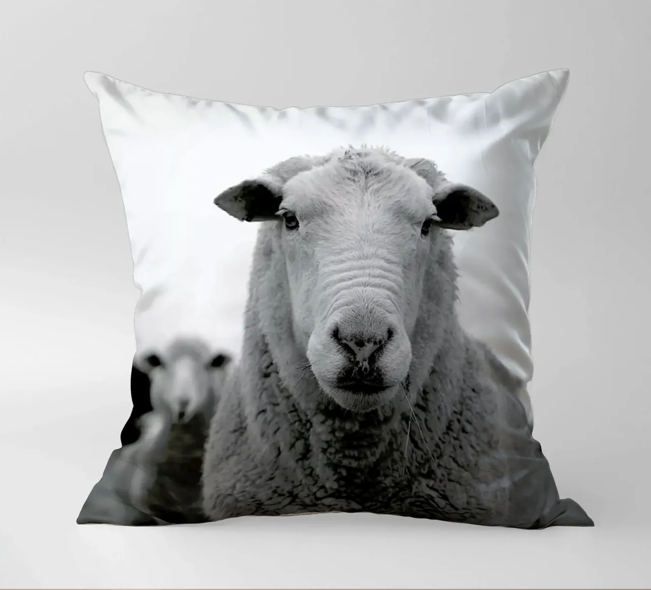 The Sheep cuscino da Studio One