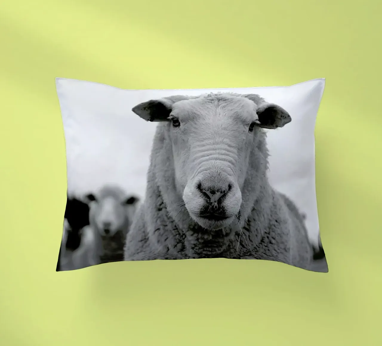 The Sheep cuscino da Studio One