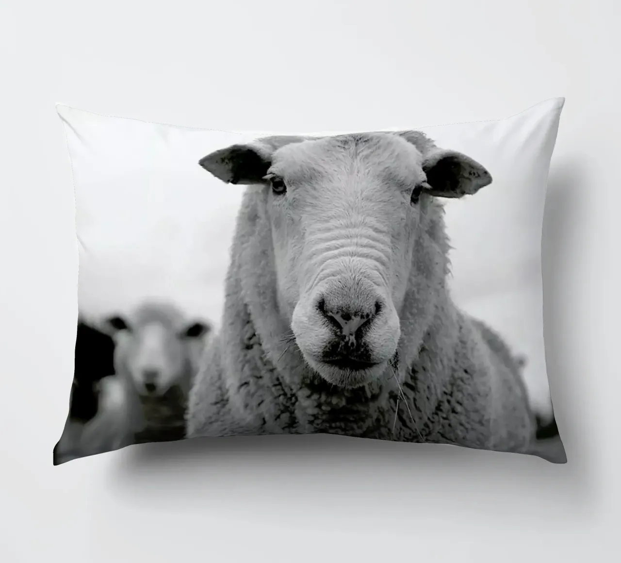 The Sheep cuscino da Studio One