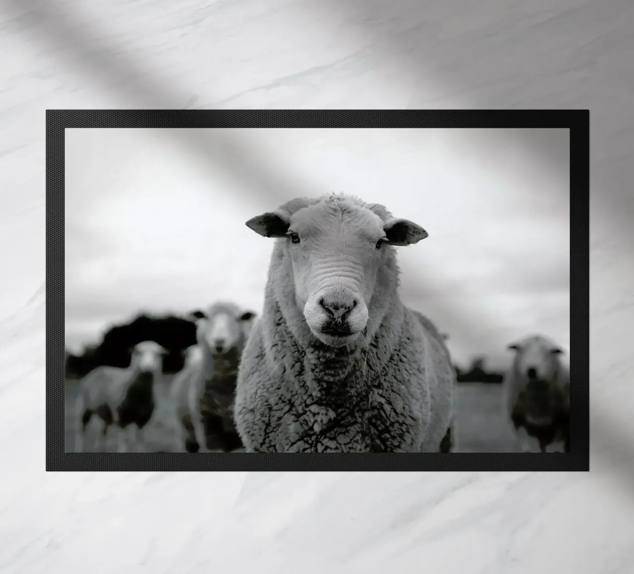 The Sheep zerbino da Studio One