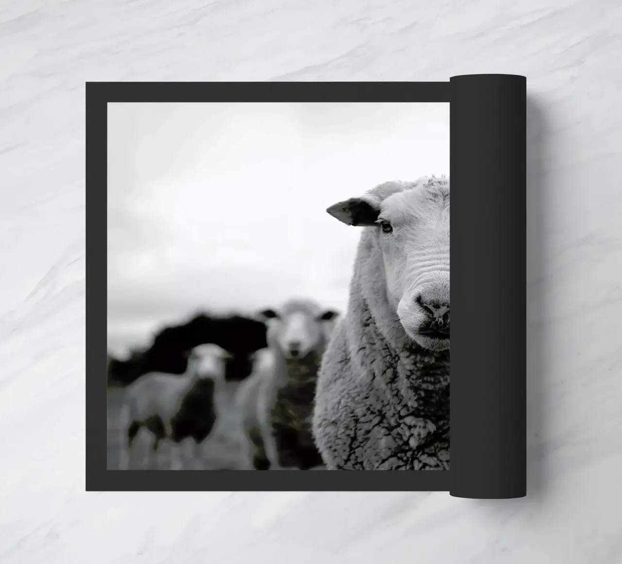 The Sheep zerbino da Studio One