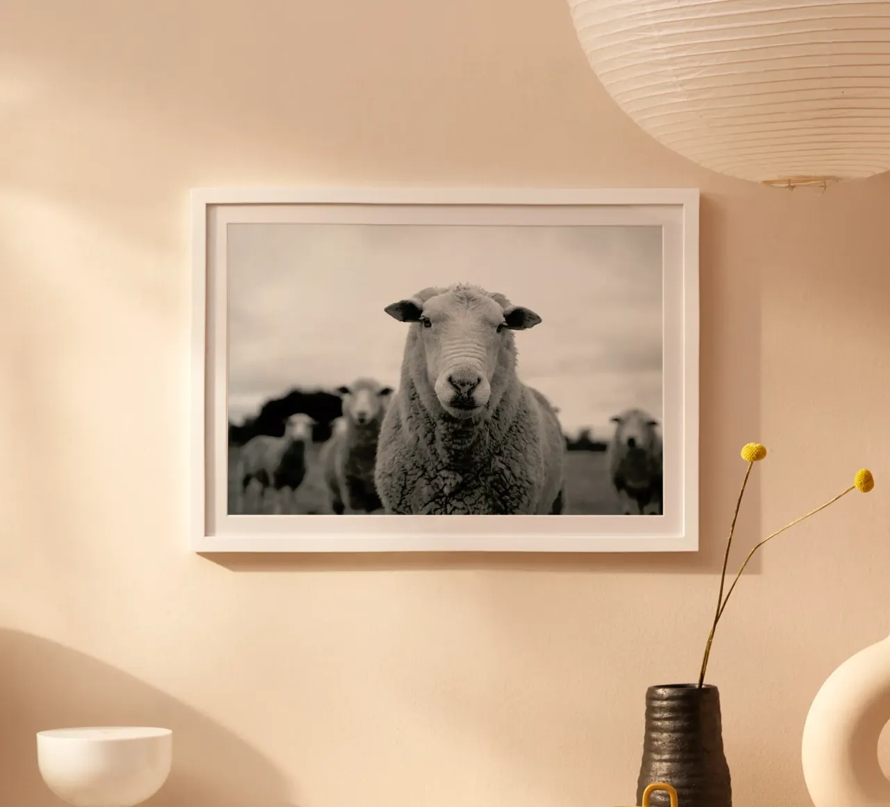 The Sheep carta hahnemühle da Studio One