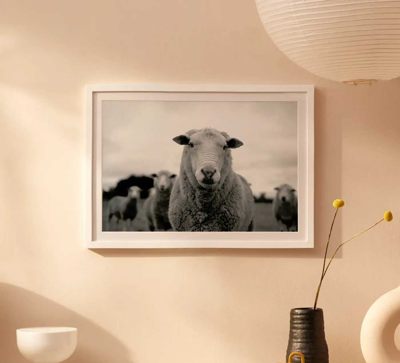 The Sheep poster da Studio One