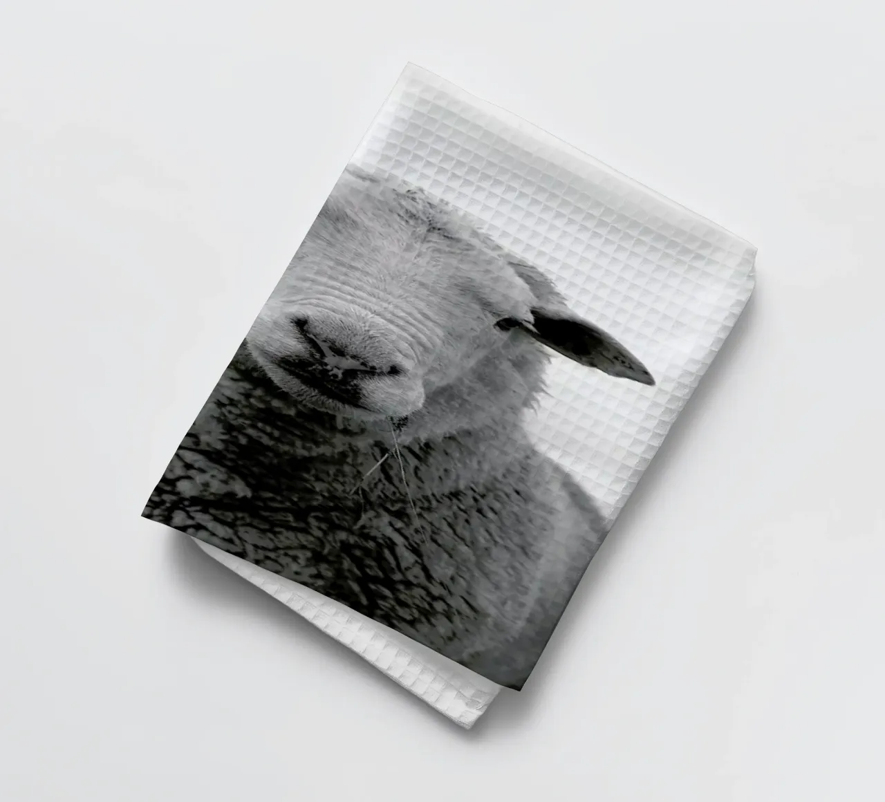 The Sheep canovaccio da cucina da Studio One