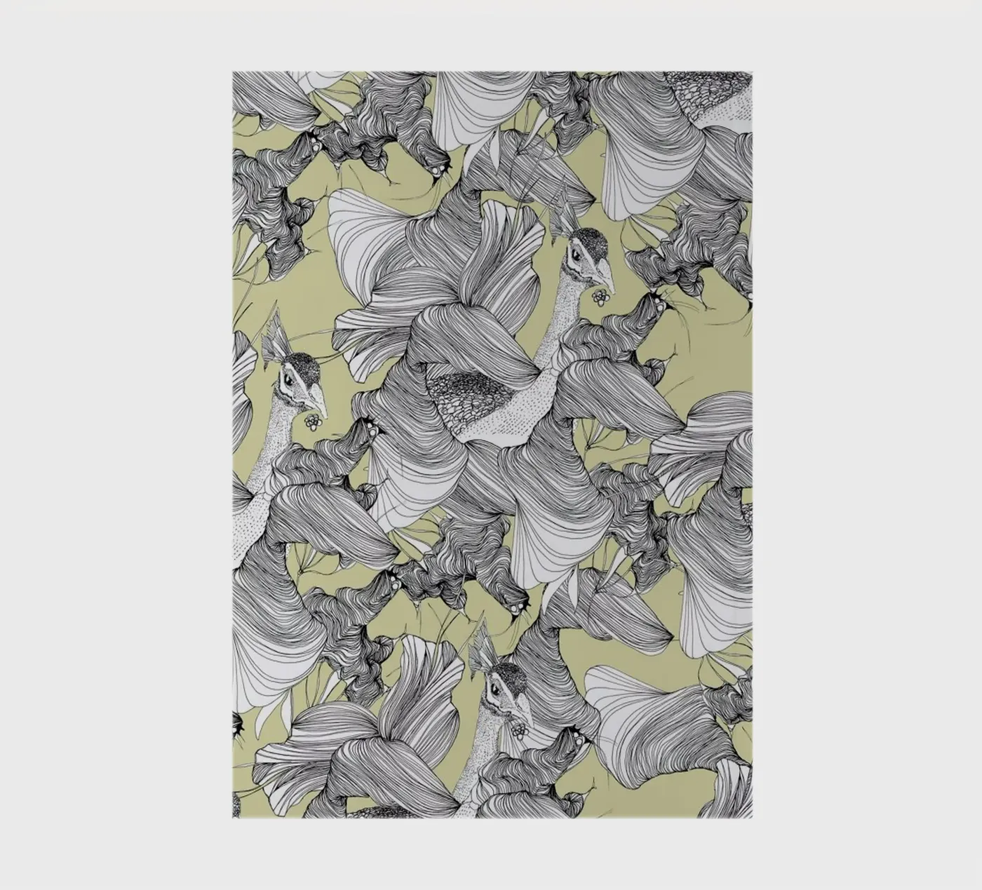 Pavone notebook by Giulio Iurissevich