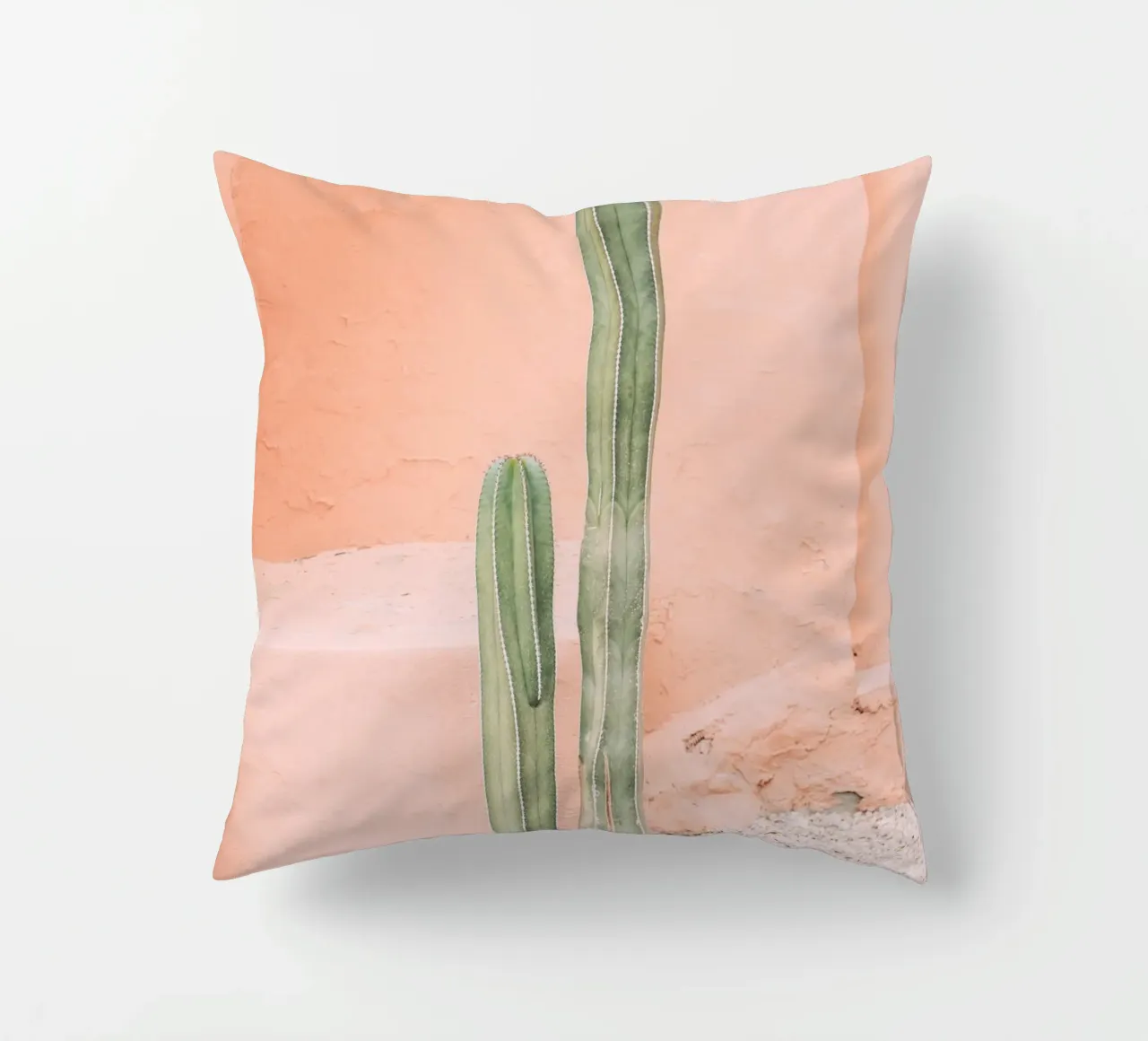 Cactus on Orange cuscino da patiphotography