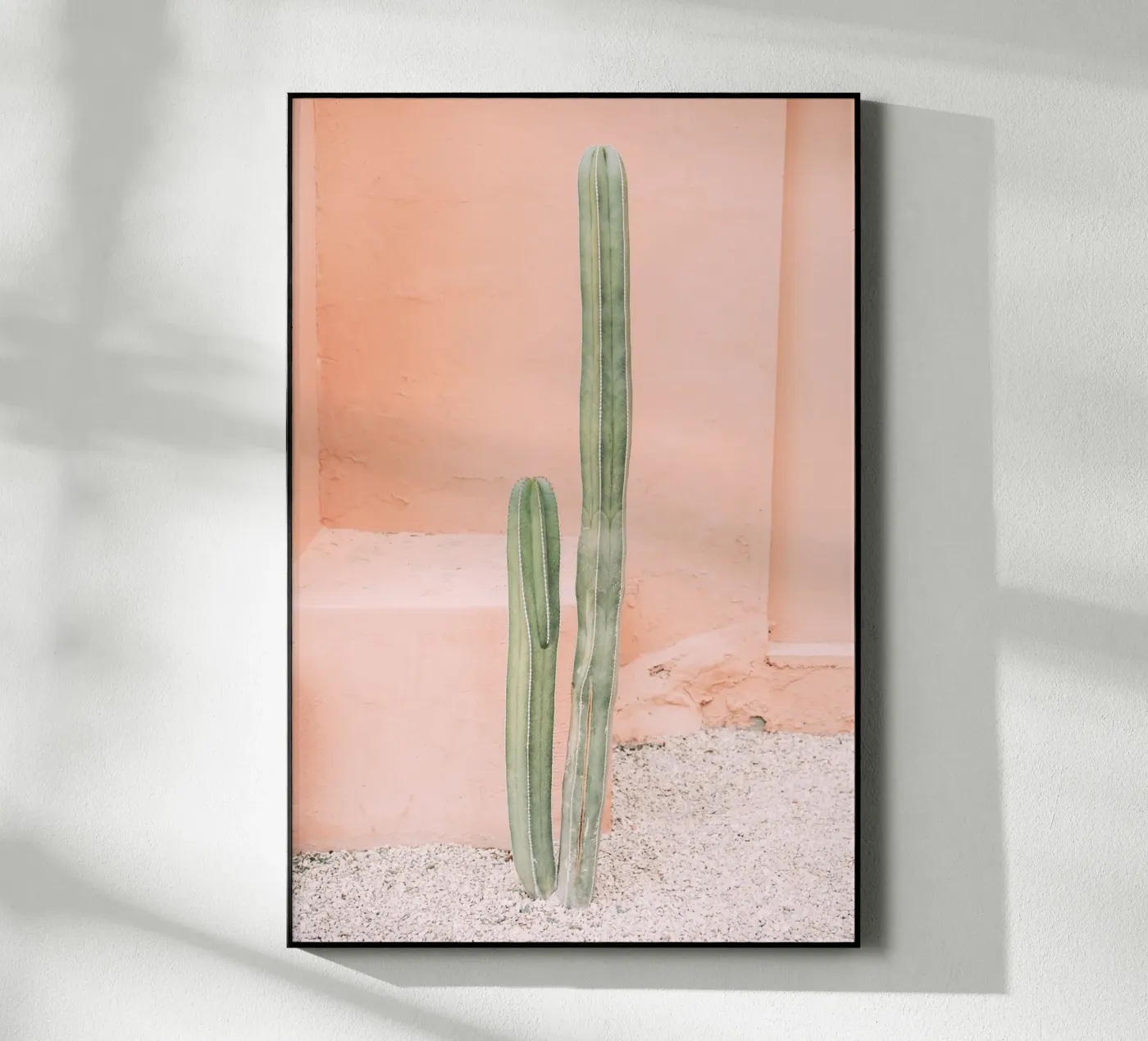 Cactus on Orange plexiglass da patiphotography