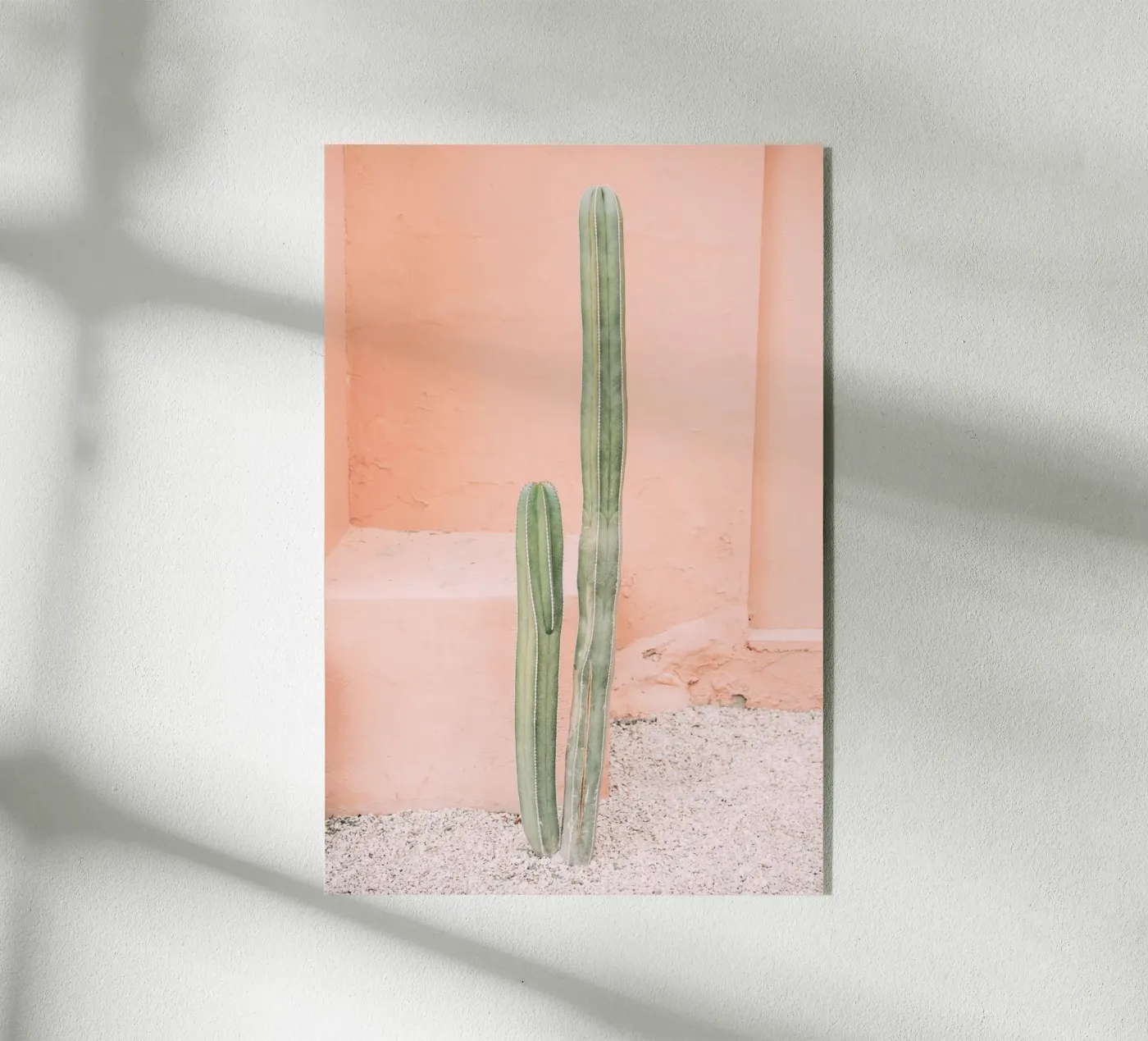 Cactus on Orange plexiglass da patiphotography