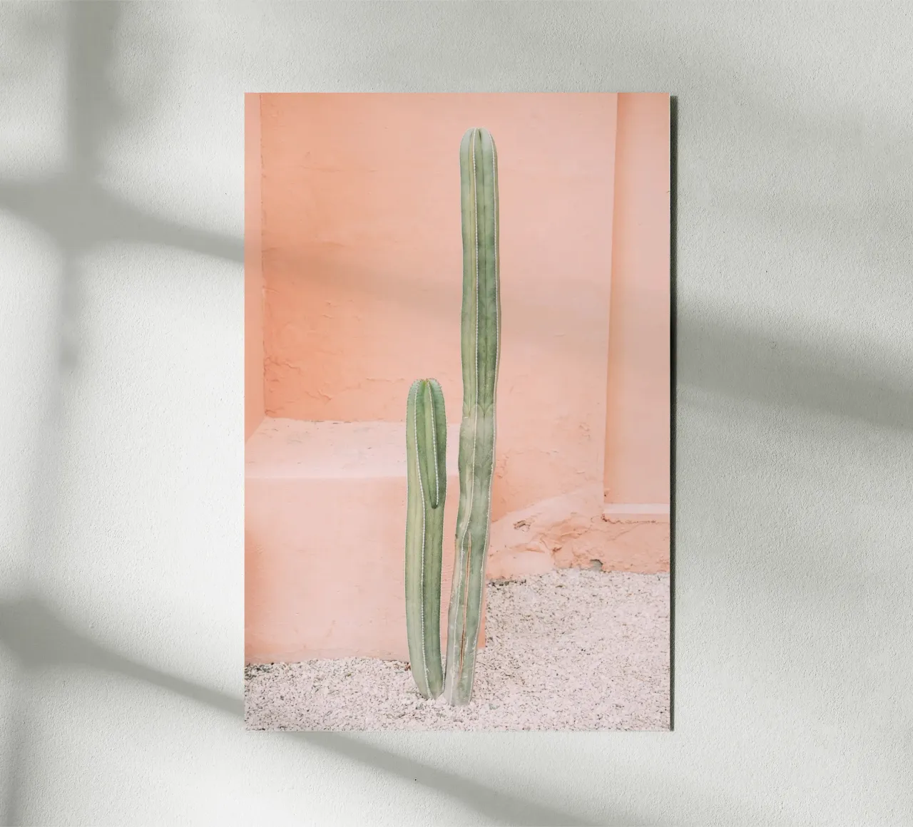 Cactus on Orange alluminio dibond da patiphotography