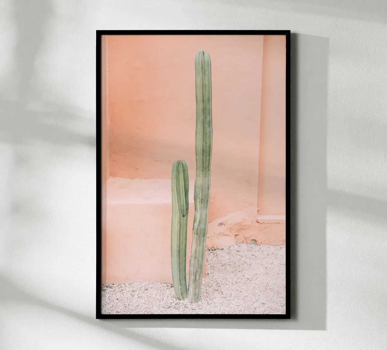 Cactus on Orange poster con telaio in alluminio da patiphotography