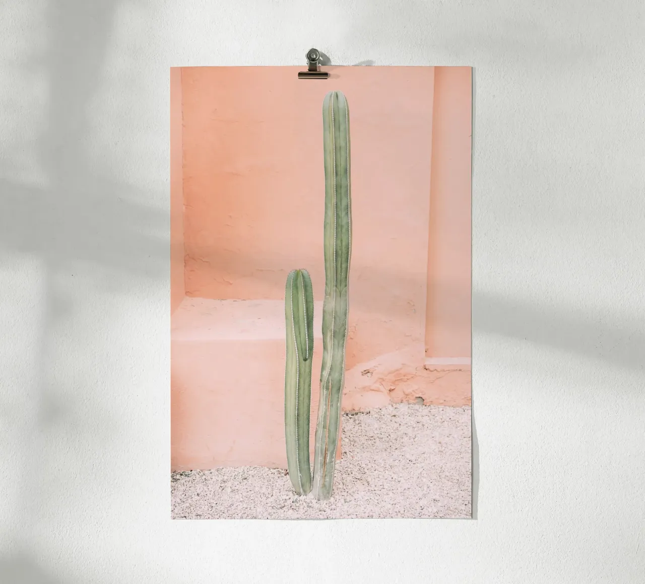 Cactus on Orange poster con telaio in alluminio da patiphotography