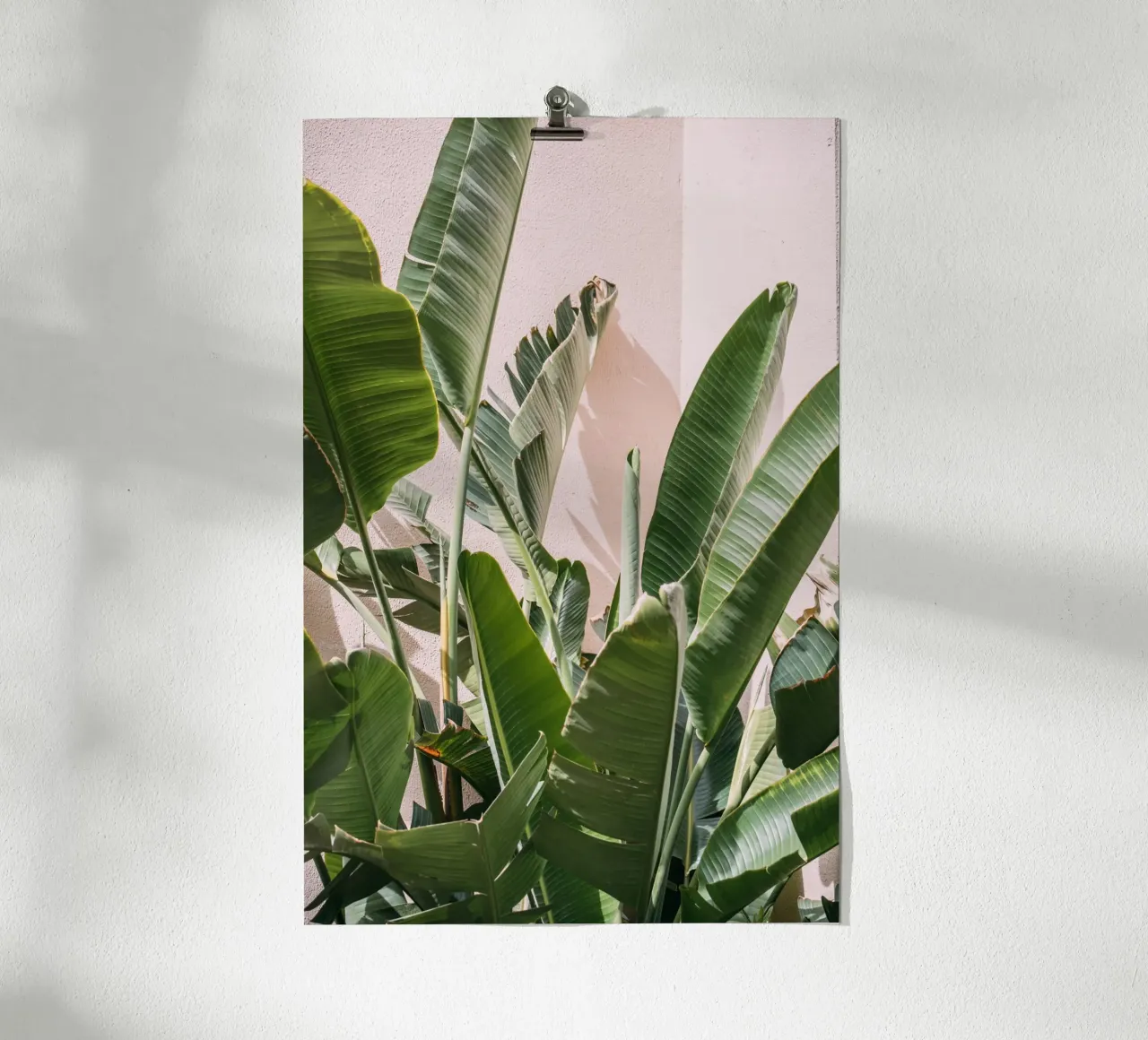 Palm Leaves Against Pink poster con telaio in legno da patiphotography