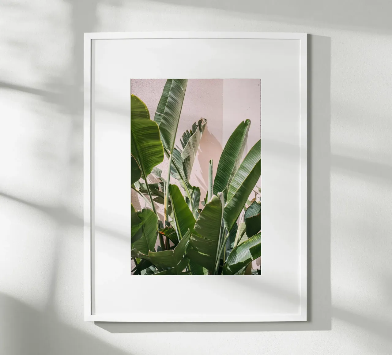 Palm Leaves Against Pink poster con telaio in legno da patiphotography