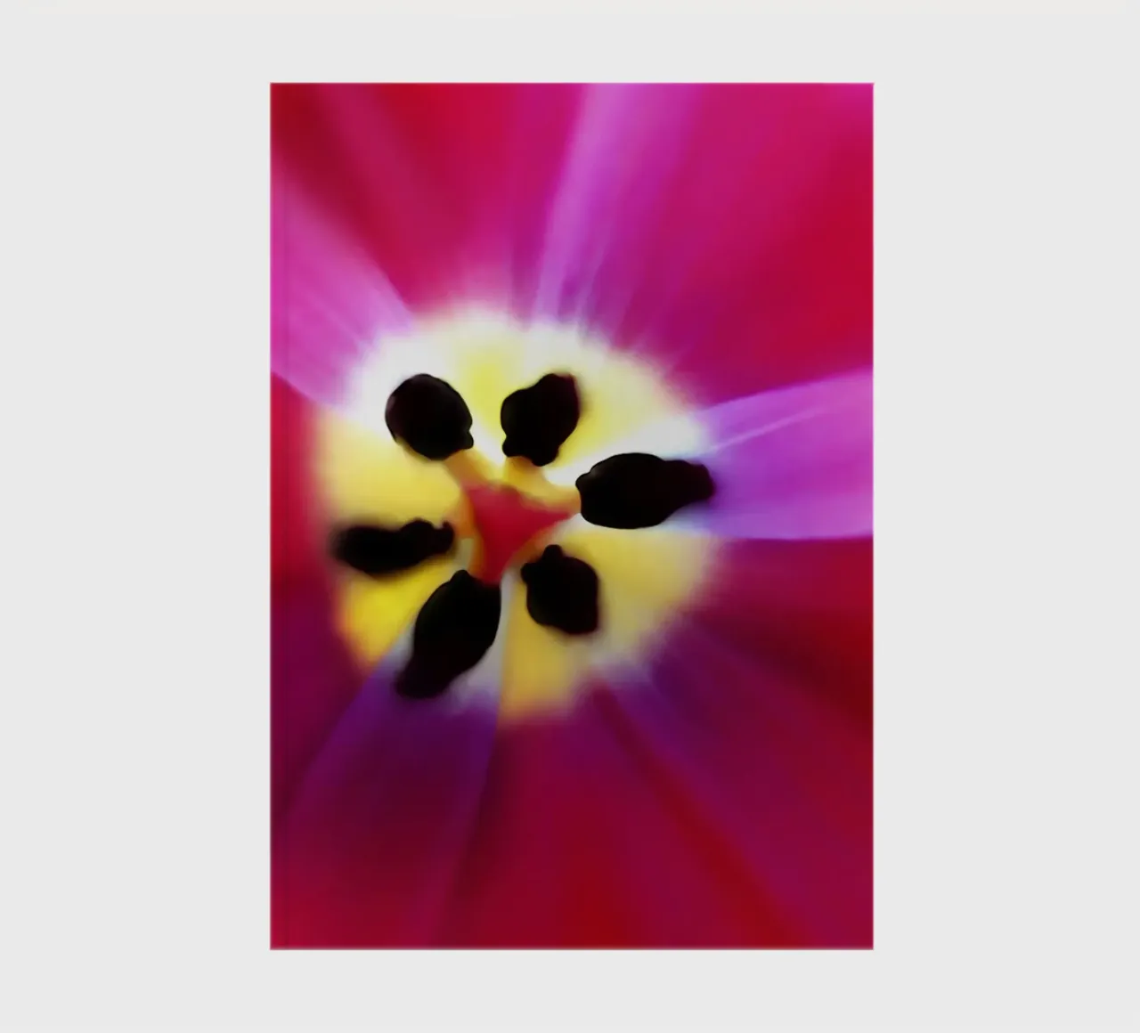 Tulip Intimacy notebook by menega sabidussi | moods