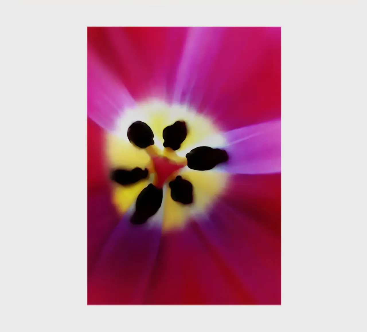 Tulip Intimacy notebook by menega sabidussi | moods