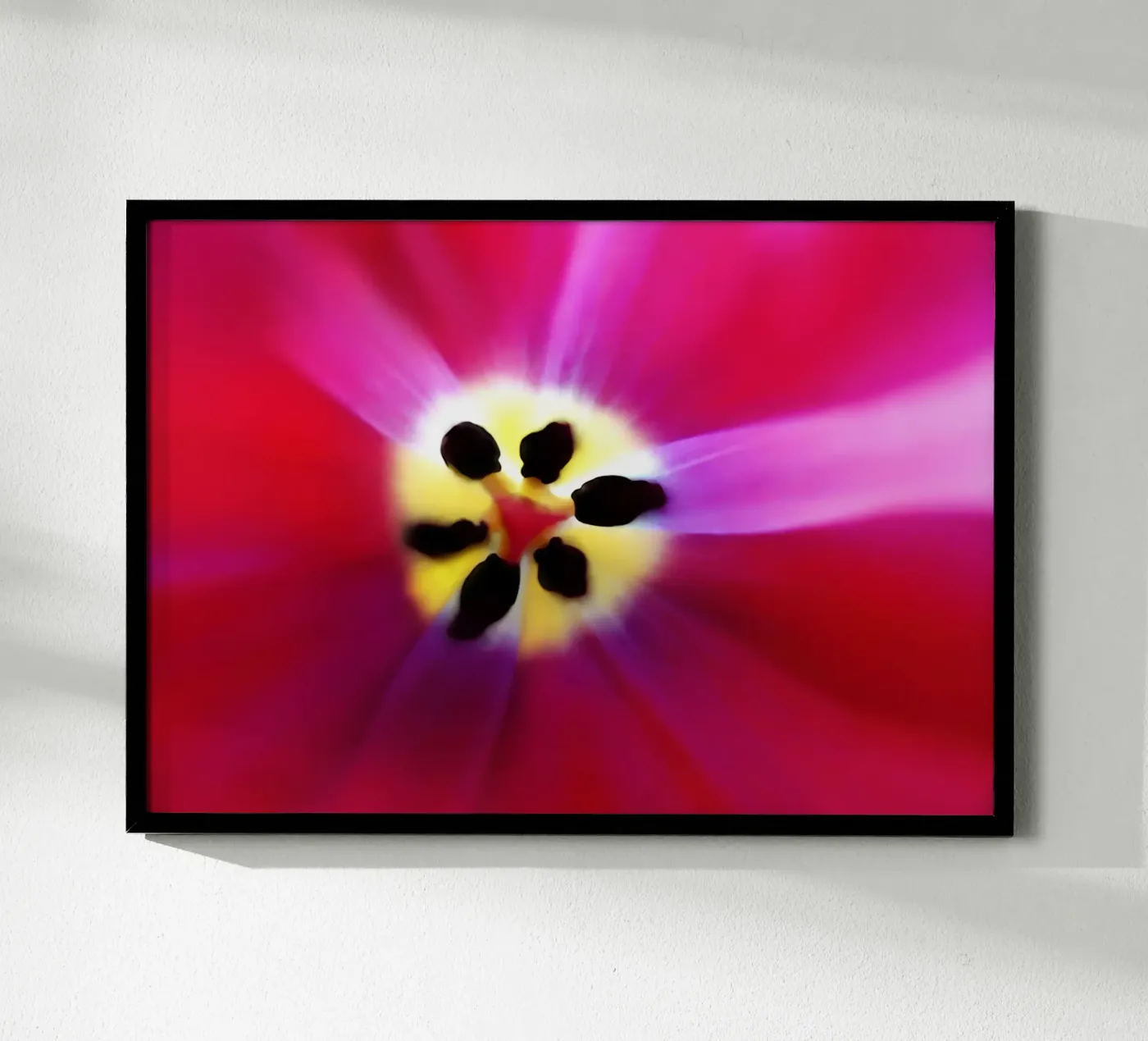 Tulip Intimacy poster da menega sabidussi | moods