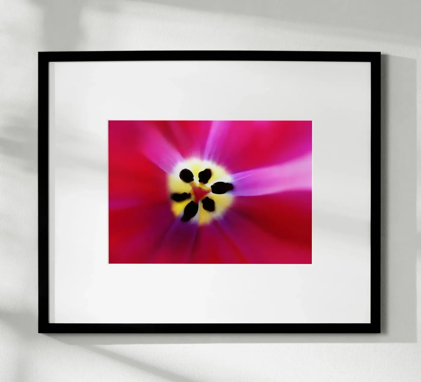 Tulip Intimacy poster da menega sabidussi | moods