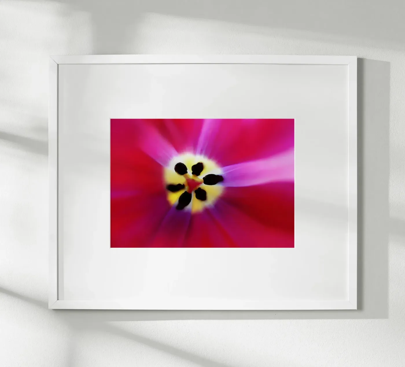 Tulip Intimacy poster da menega sabidussi | moods