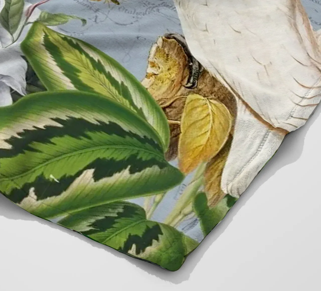 Cacatua bianchi Vita selvatica tropicale Vita esotica della giungla coperta in pile da Vintage World - Uta Naumann