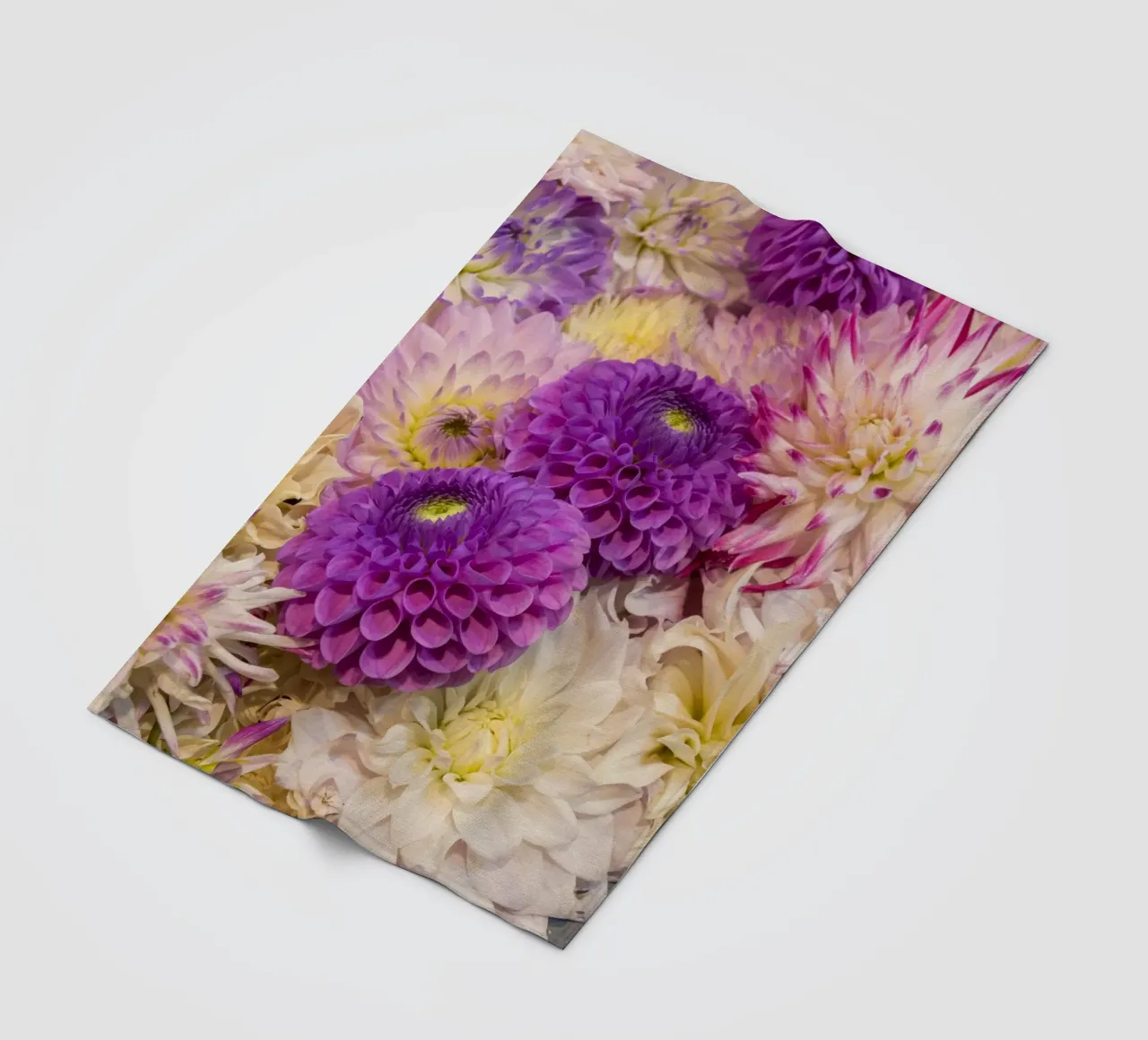 Una danza di dalie: Dalie rosa e viola coperta in pile da Curious Collections by Marielle Leenders