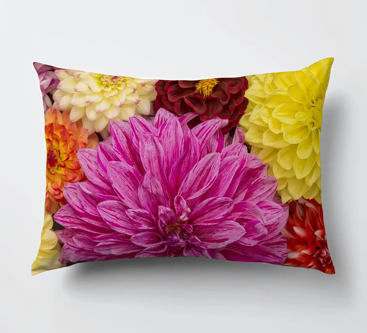 Un caleidoscopio di bellezza: Dalie miste cuscino da Curious Collections by Marielle Leenders