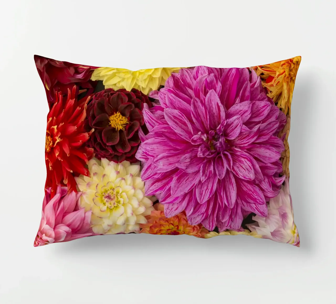 Un caleidoscopio di bellezza: Dalie miste cuscino da Curious Collections by Marielle Leenders