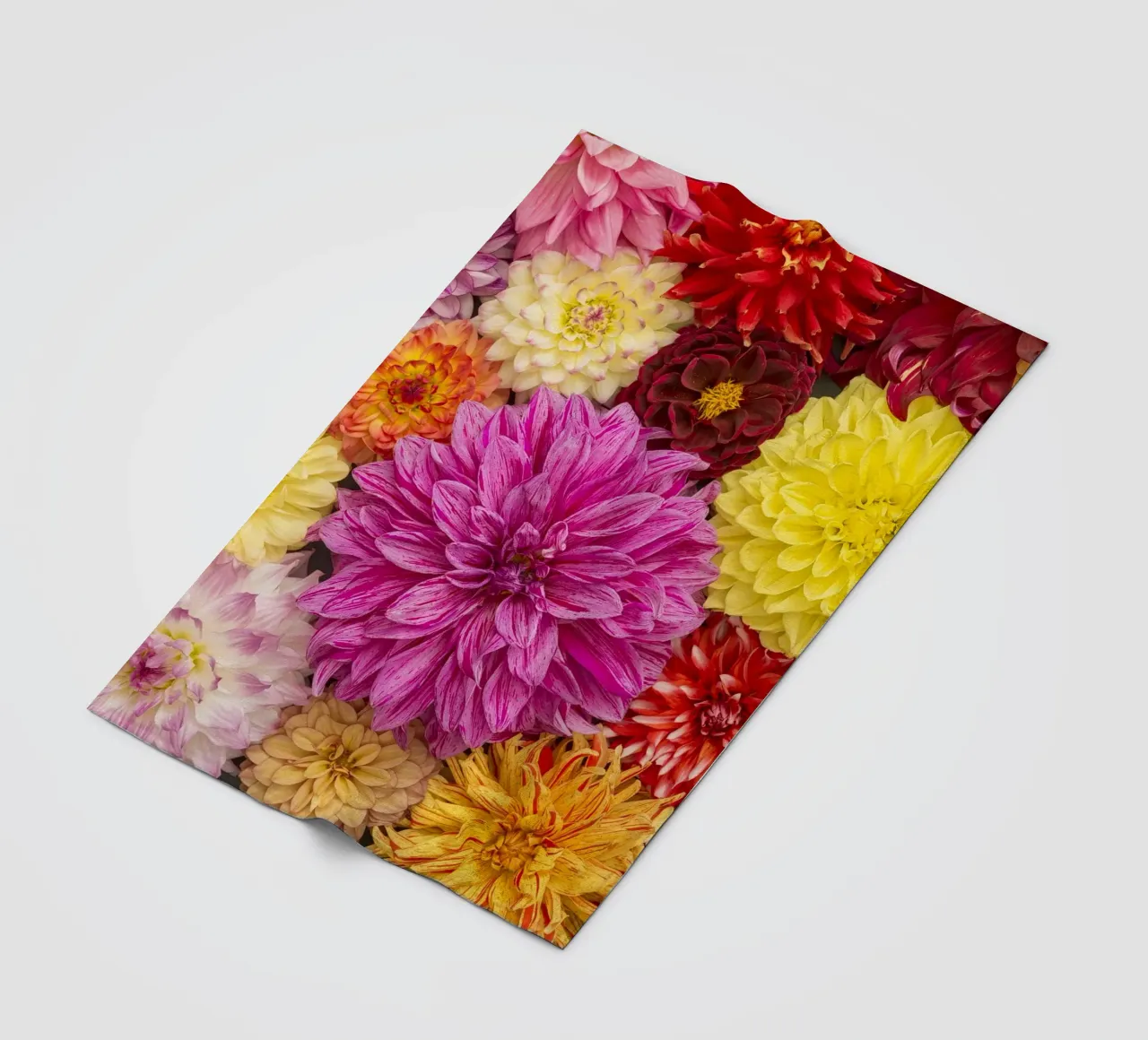 Un caleidoscopio di bellezza: Dalie miste coperta in pile da Curious Collections by Marielle Leenders