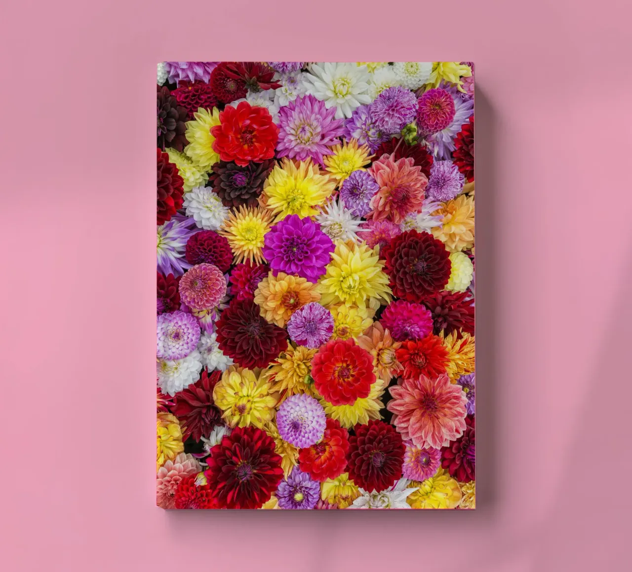 A Vibrant Tapestry: Mixed Dahlias in Full Bloom notebook by Curious Collections by Marielle Leenders