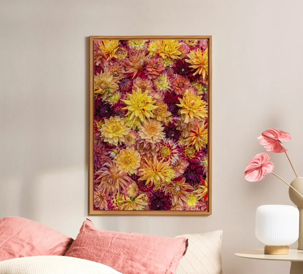 A Kaleidoscope of Color: A Field of Vibrantly Colored Dahlia alu-dibond by Curious Collections by Marielle Leenders