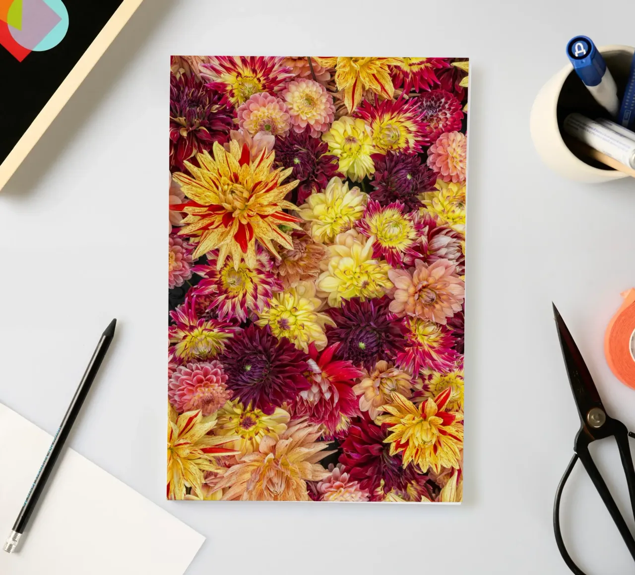 Abbondanza di fiori: Un caleidoscopio di dalie diario da Curious Collections by Marielle Leenders